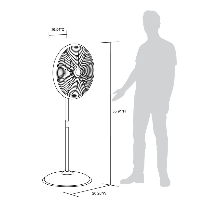 NewAir 55.9" Oscillating Standing Fan & Reviews Wayfair